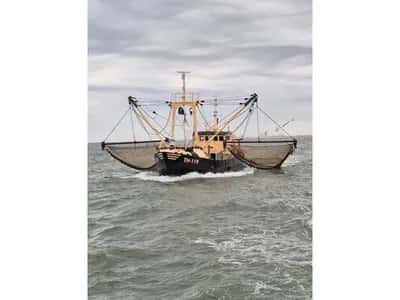 1983 DEO VOLENTE Fishing boat - Eurocutter PBBQ DEO VOLENTE TH 119 - Fishing Boat - Eurocutter - Beam Trawling - Scania diesel engine - 300 HP - Netherlands — photo 1 of 12