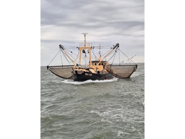 DEO VOLENTE Fishing boat - Eurocutter PBBQ DEO VOLENTE TH 119 - Vissersboot - Eurokotter - Boomkorvisserij - Scania diesel motor - 300 PK - Nederland — photo 1 of 12