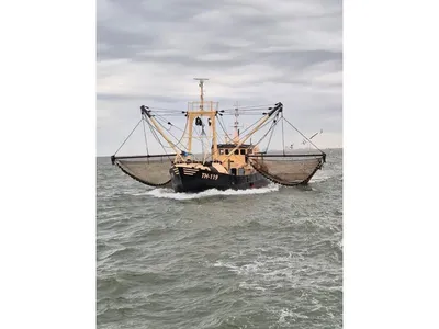 DEO VOLENTE Fishing boat - Eurocutter PBBQ DEO VOLENTE TH 119 - Vissersboot - Eurokotter - Boomkorvisserij - Scania diesel motor - 300 PK - Nederland — photo 1 of 12